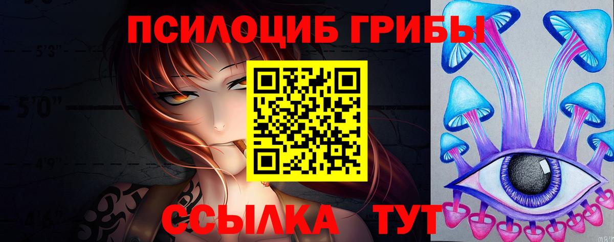 Псилоцибиновые грибы прущие грибы Мелеуз