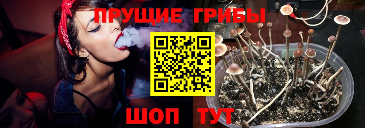 Псилоцибиновые грибы Psilocybine cubensis  Вход с VPN  Мелеуз 